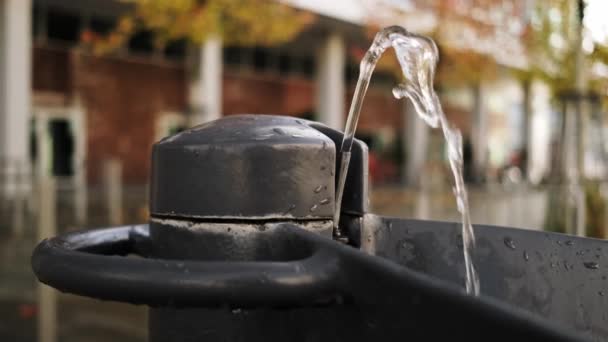 City Street Features Drinking Water Fountain Passersby — Stok Video