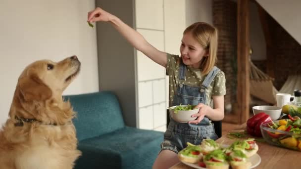 Милая Маленькая Девочка Играет Золотой Собакой Ретривером Кухне — стоковое видео