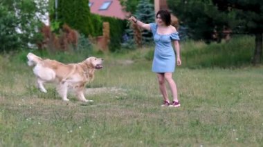 Golden Retriever köpeğiyle oynayan bir kadın. Köpek ağır çekimde atlar..