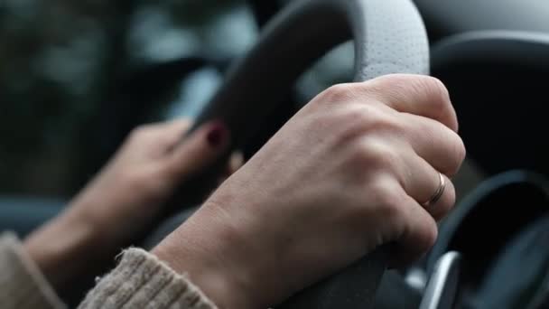 Female Hands Steering Wheel Girl Driving Car — Stock Video