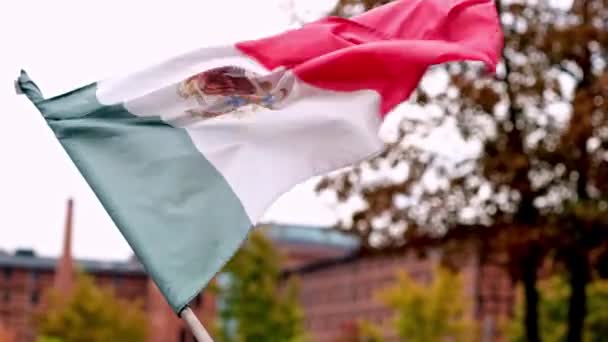 Μεξικανική Σημαία Κυματίζει Μια Σημαία Χρωματίζει Ζωηρή Εικόνα Του Πατριωτισμού — Αρχείο Βίντεο