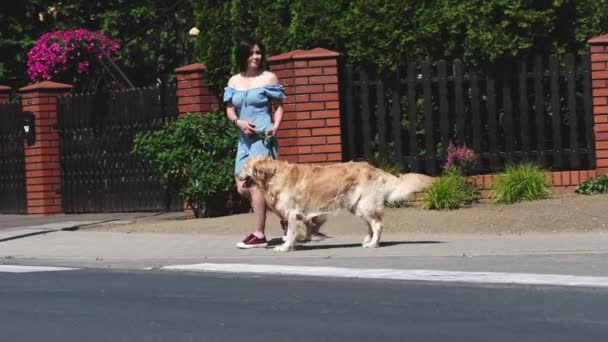 Meisje Oversteken Van Weg Met Mooie Hond Aan Een Leiband — Stockvideo