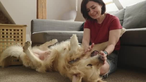 ゴールデンレトリーバーの犬が自宅に横たわっている ロフトルームでピューレッドペット犬と遊ぶ若い女性 — ストック動画
