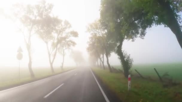 Mgła Koperty Asfalt Drogi Jak Samochód Przechodzi Pierwszej Osobie Widok — Wideo stockowe