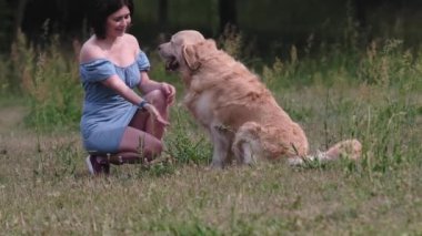 Golden retriever köpeği doğadaki güzel kız sahibine patisini veriyor. Saf köpek eğiten ve parkta gülümseyen genç bir kadın.