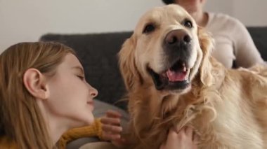 Anne ve kız evdeki kanepede oturan golden retriever köpeğiyle oynuyorlar. Güzel küçük bir çocuk ve genç bir kadın evde safkan bir köpeği okşuyor.