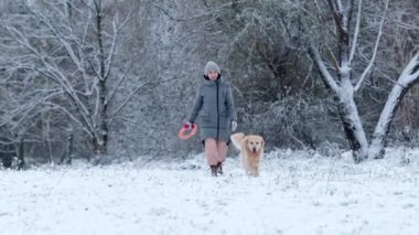 Sahibi kız, kışın kar tarlasında altın av köpeğiyle yürüyor.