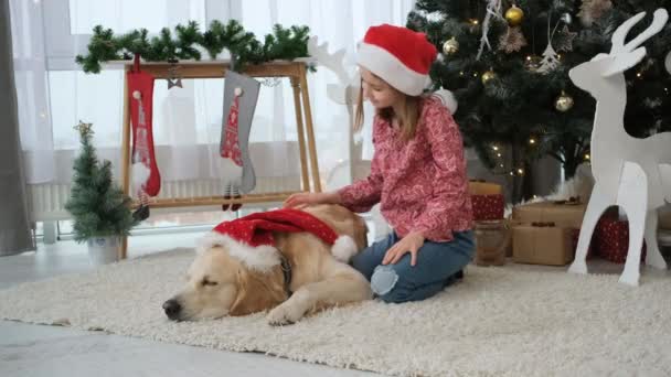 Lille Pige Gylden Retriever Hund Santa Hat Ved Siden Juletræ – Stock-video