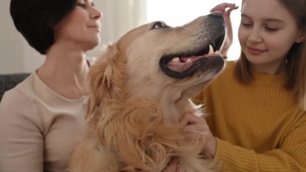 Mor Och Preteen Flicka Dotter Petting Golden Retriever Hund Hemma — Stockvideo