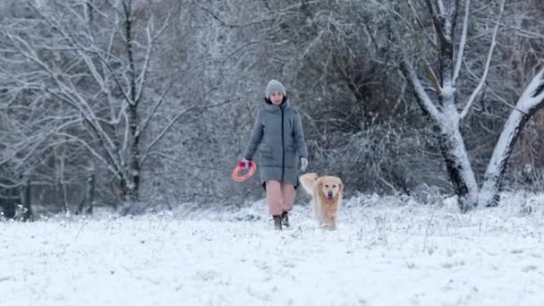 Ägaren Flicka Promenader Med Sin Gyllene Upphämtare Hund Ett Snöfält — Stockvideo