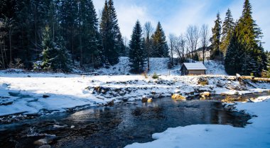 Dağ nehri ile Ukrayna Karpatlarının güzel kış manzarası