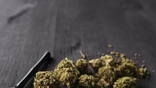 Trockenes Cbd Cannabis Mit Metallpfeife Medizin Marihuana Mit Cannabidiol — Stockvideo