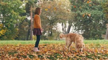 Mutlu küçük kız sonbahar parkında eğleniyor ve altın renkli köpekle oynuyor..