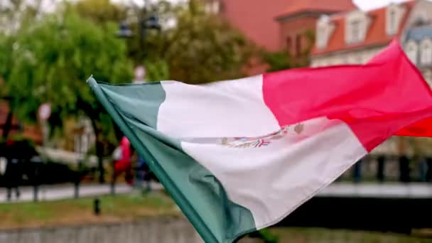 Mexican National Flag Flutters Flagpole City Street — Stock Video