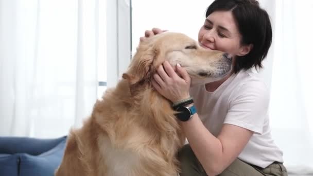 Właścicielka Peting Adorable Golden Retriever Dog Pies Rodzinny Domu — Wideo stockowe