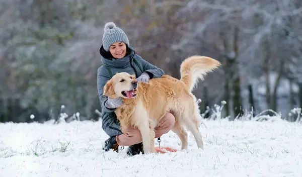 Woman Petting Her Adorable Golden Retriever Dog Snow Field Winter — Stock Photo, Image