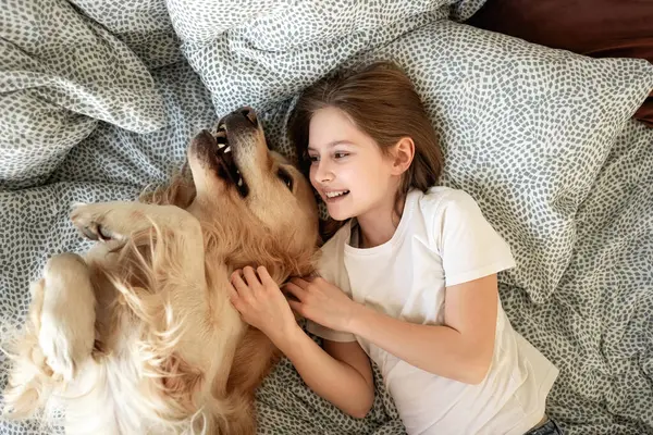 Χαριτωμένο Κοριτσάκι Παίζει Χρυσό Σκύλο Retriever Στο Κρεβάτι — Φωτογραφία Αρχείου