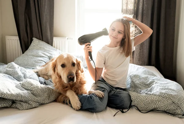 Aranyos Kislány Hajszárítóval Kutyával Ágyon Stock Fotó
