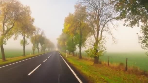 Вид Від Першої Особи Захоплює Автомобіль Йде Асфальтовою Дорогою Туманній — стокове відео