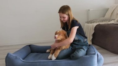 Sevimli küçük kız evde sevimli Toller Köpeği ile oynuyor.