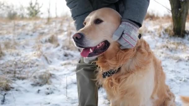 Αγαπημένη Κοπέλα Χαϊδεύει Χρυσό Σκύλο Της Ένα Όμορφο Κατοικίδιο Ζώο — Αρχείο Βίντεο