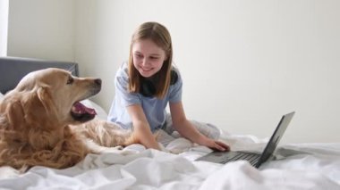 Neşeli küçük kız tatlı köpeğiyle oynuyor, dizüstü bilgisayarında ona bir şey gösteriyor.