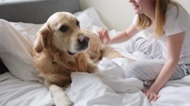 Neşeli genç bir kız Sevecen bir şekilde sevişiyor ve tatlı köpeğini yatakta kucaklıyor.