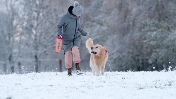 Власниця Дівчина Біжить Золотий Ретривер Собака Сніговому Полі Взимку — стокове відео