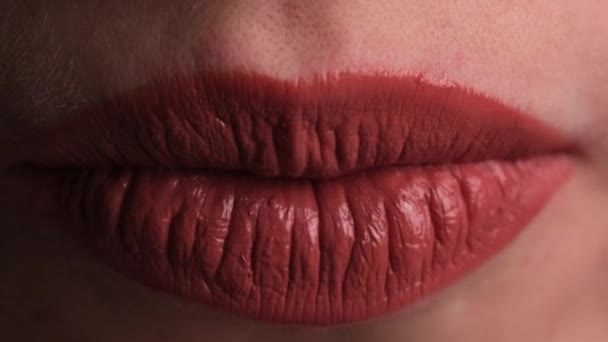 Close View Girl Detailed Makeup Painted Lipstick Her Lips Licking — Stok Video