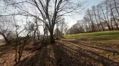 İnsansız Hava Aracı Ağaçların Arasında Yükseliyor, Fpv Helikopteri Doğayı Çekiyor