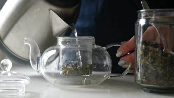 厨房里的女孩在茶壶里倒入热水 茶壶里倒入绿茶 — 图库视频影像