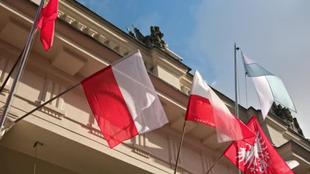 Bandeiras Nacionais Polonesas Balançando Prédio Coração Poznan Polônia — Vídeo de Stock