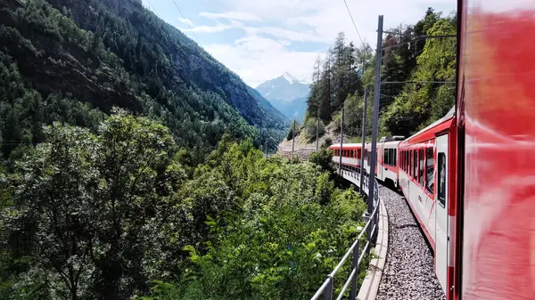 Червоний Швейцарський Поїзд Рухається Долиною Горах Швейцарії Ліцензійні Стокові Фото