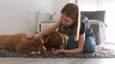 Sevimli küçük kız evde sevimli Toller köpek yavrularıyla oynuyor.