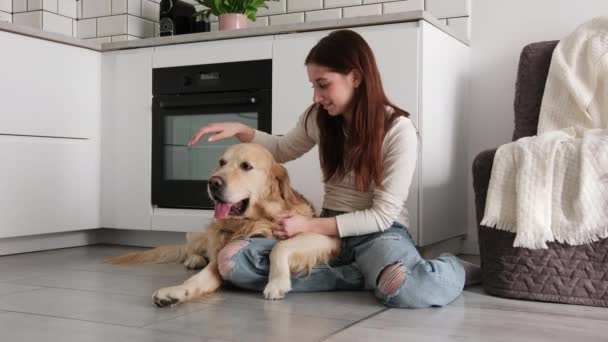 Ung Flicka Mjukt Petting Söt Golden Retriever Dog — Stockvideo