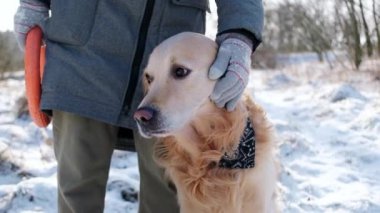 Kışın Ormanda Altın Köpeğiyle Gezen Kız Sevilen Evcil Hayvanı