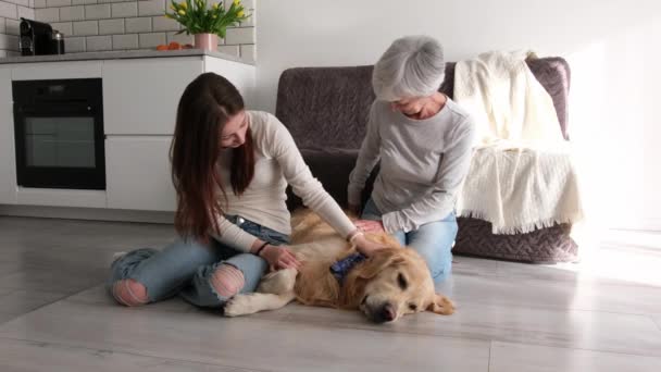 Old Lady Her Granddaughter Softly Petting Cute Golden Retriever Dog — Stock Video