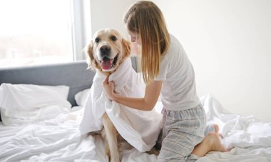 Neşeli genç kız battaniyeye sarılmış altın av köpeğiyle eğleniyor.