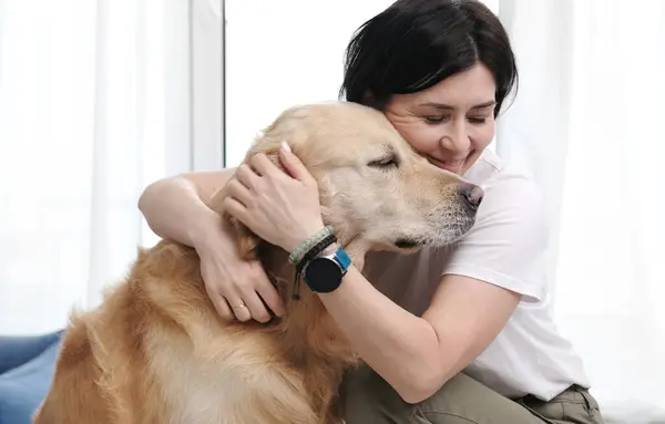 Ιδιοκτήτρια Γυναίκα Χαϊδεύει Αξιολάτρευτο Golden Retriever Dog Οικογενειακό Σκυλί Στο Εικόνα Αρχείου