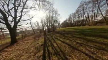 İnsansız Hava Aracı Ağaçların Arasında Yükseliyor, Fpv Helikopteri Doğanın Yukarıdan Görünüşü