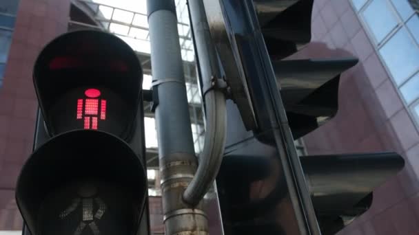 Şehir Kavşağında Yayalar Için Trafik Işığı — Stok video