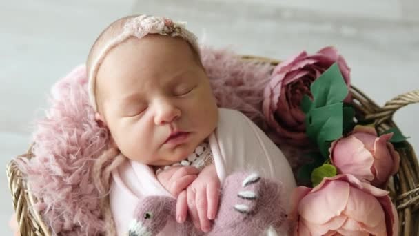 Sessão Fotos Recém Nascido Bonito Com Bebê Dormindo Abraçando Brinquedo — Vídeo de Stock