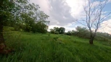 Yeşil Ağaçların ve Dışarıdaki Arazinin Üzerinden İnanılmaz Fpv Sahne Uçuşu