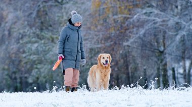 Sahibi kız, kışın kar tarlasında altın av köpeğiyle yürüyor.