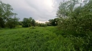 Yaz İHA 'sı Yeşil Çalıların ve Ağaçların Arasında Geziyor