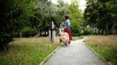 Parkta köpek gezdirmeye hazırlanırken bir köpek ziyan oluyor. Yürüyen köpek için gerekli olan çantaları taşıyor.