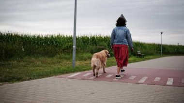 Kadın sahibi kırsalda Altın Köpek ile Yürüyüşü yapıyor. Altın Avcı Köpeği Cinsi