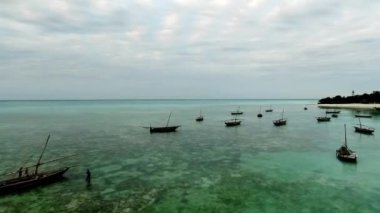 Zanzibar 'ın sahil şeridinin sığ sularında yüzen tahta tekneler.