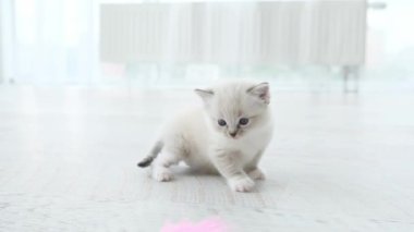 Büyüleyici oyuncak bebek kendini evinde hissediyor.