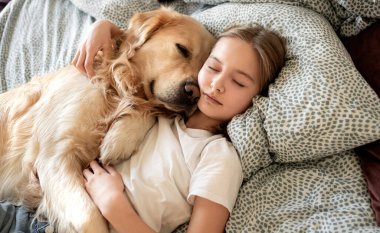 Yatakta Altın Köpekle Kucaklaşan Sevimli Küçük Kız